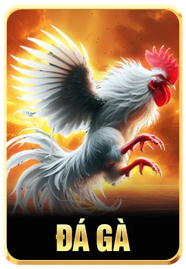đá gà icon
